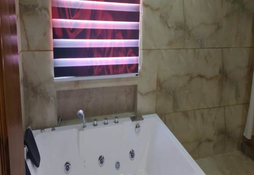 Hotel Saheb's Castle McLeodganj Hotel Overview