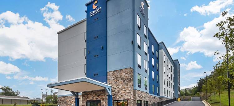舒适酒店及套房(Comfort Inn & Suites)图片