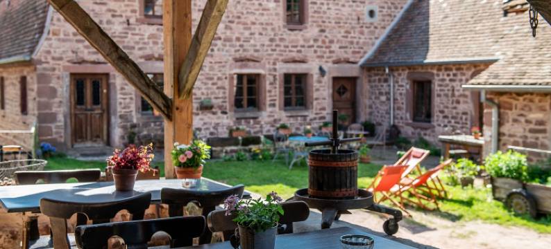Maison d'hôtes de Charme - Ancien Moulin en Pleine Nature - la Paulusmühle图片