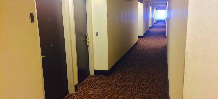 加夫尼 I-85 舒眠酒店(Sleep Inn Gaffney at I-85)图片