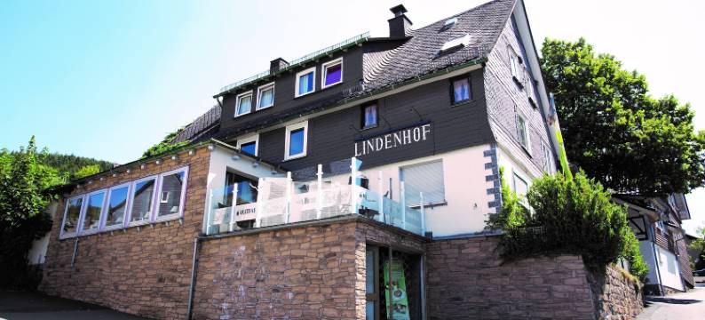 林登霍夫餐厅酒店(Hotel Restaurant Lindenhof)图片