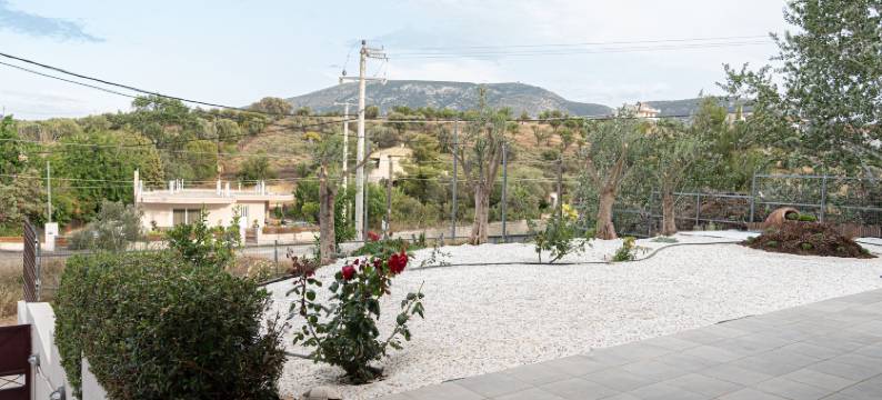 ALLAGIANNIS集团公寓(Allagiannis Group Apartments)图片