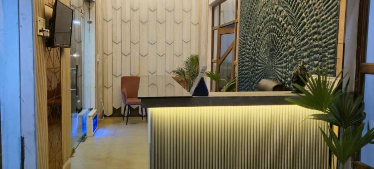 皇家兰花(The Royal Orchid)图片