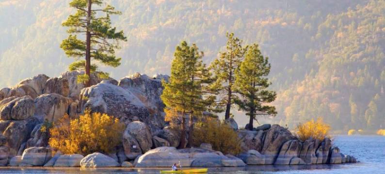 步行到高山滑梯 - 几乎有景观(Walk to Alpine Slide - Almost a View)图片