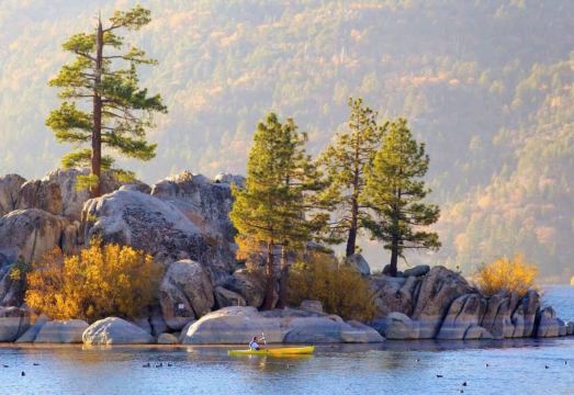 Walk to Alpine Slide - Almost a ViewHotel Overview