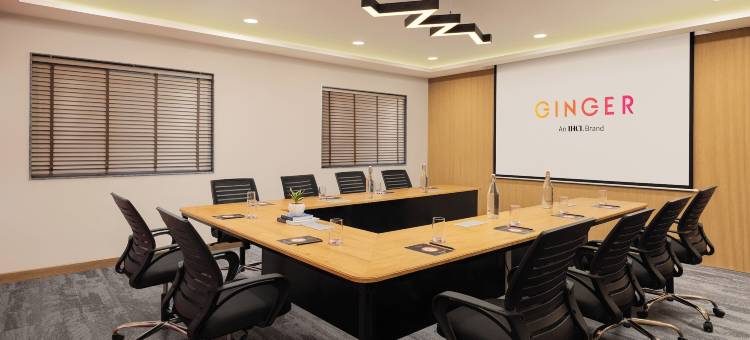 金格那格浦尔市中心(Ginger Nagpur City Center)图片