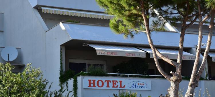 摩尔酒店(Hotel More)图片