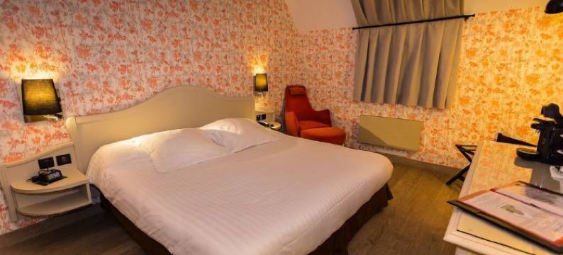 赛德斯涛特尔旅馆(Cit'Hotel - Hotel le Cèdre)图片