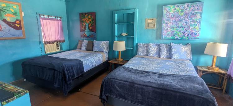 鹈鹕 Spa 酒店(Pelican Spa)图片