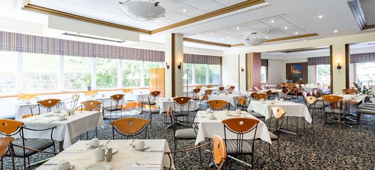 格尔利茨酒店(Parkhotel Görlitz)图片