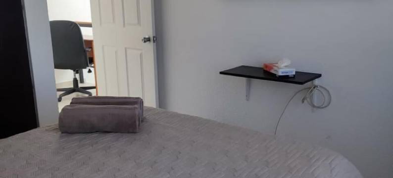 劳雷尔房子(Casa Laurel)图片