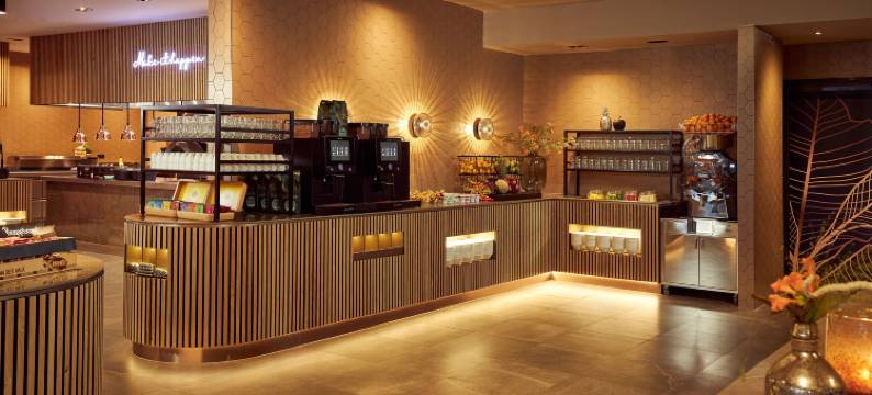 格罗宁根基德罗伊克梵瓦尔克酒店(Van der Valk Hotel Groningen Zuidbroek)图片