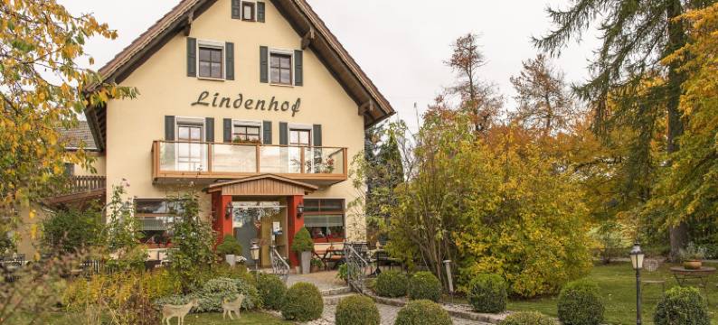 灵登霍夫兰登酒店(Landhotel Lindenhof)图片