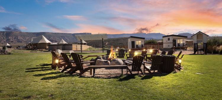 Zion Wildflower, BW Premier Collection图片