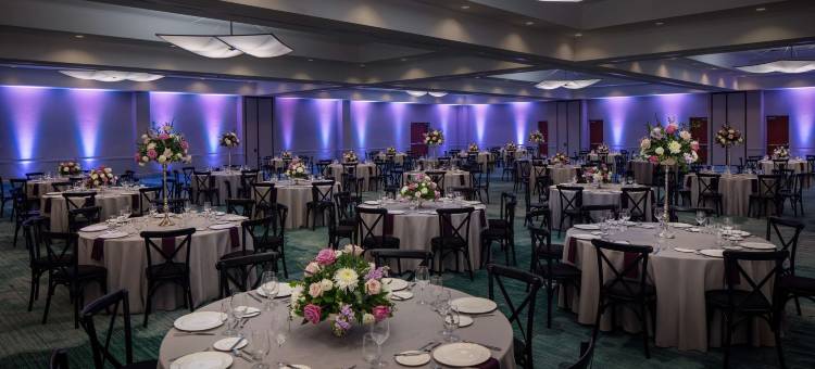 圣彼得堡卡里永希尔顿酒店(Hilton St. Petersburg Carillon Park)图片