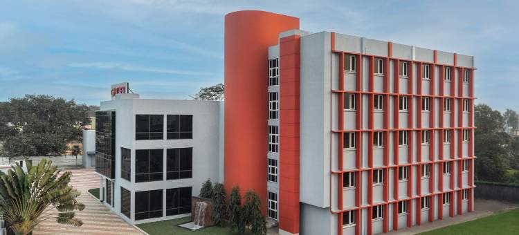 Ginger Durgapur姜(Ginger Durgapur)图片