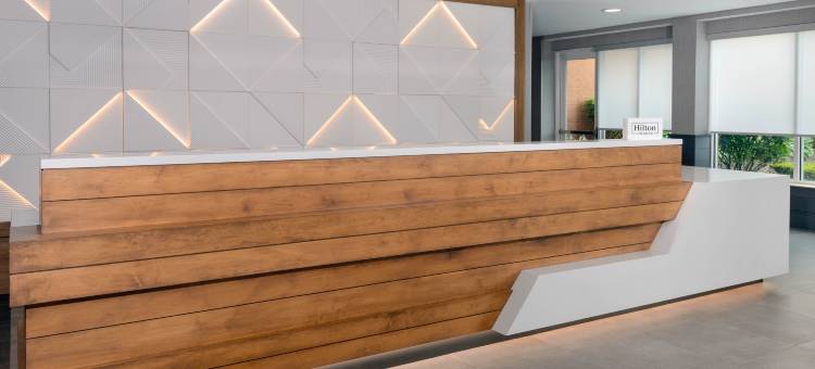 客栈水牛城机场希尔顿花园酒店(Hilton Garden Inn Buffalo Airport)图片