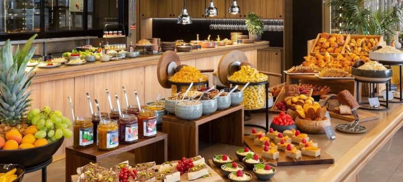 里昂铂尔曼酒店(Pullman Lyon)图片