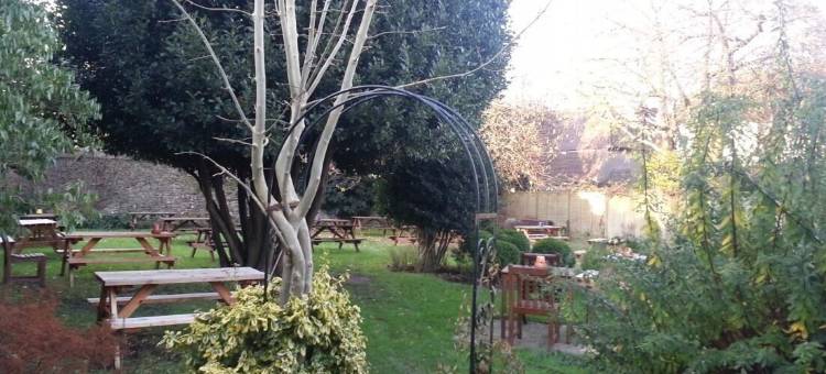 新旅馆(The New Inn)图片