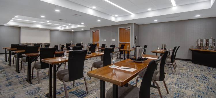 底特律都会机场希尔顿安泊酒店(Embassy Suites by Hilton Detroit Metro Airport)图片