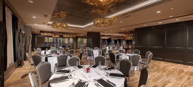 匹兹堡市中心希尔顿花园酒店(Hilton Garden Inn Pittsburgh Downtown)图片