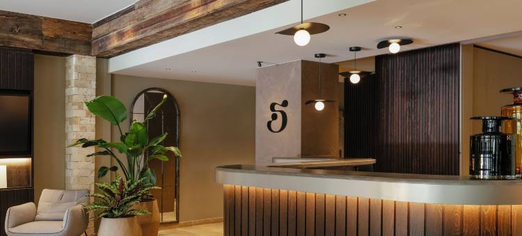 SCHLOSS Zermatt - CBD及适应原水疗和运动酒店(Schloss Zermatt - CBD & Adaptogenic Spa and Sport Hotel)图片