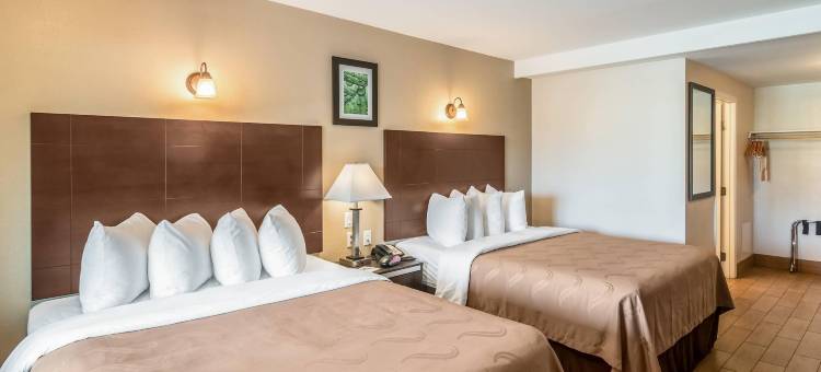 贝克斯菲尔德市区附近凯艺套房酒店(Quality Inn & Suites Near Downtown Bakersfield)图片