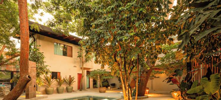 哈拉马拉花园(Haramara Gardens)图片