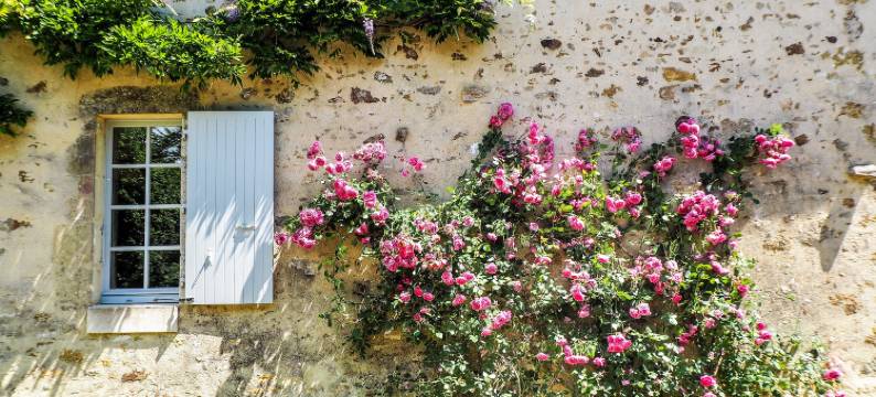 Holiday Home Saint-Laurent Pool & Garden图片