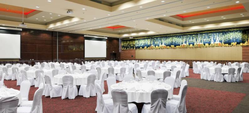 Holiday Inn 特尔纳瓦(Holiday Inn TRNAVA by IHG)图片