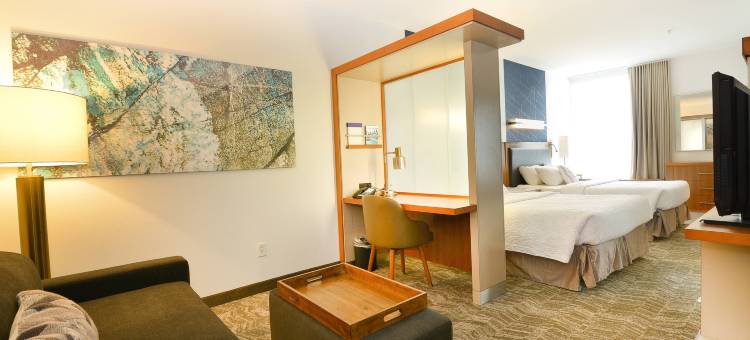 大福克斯万豪SpringHill酒店(SpringHill Suites Grand Forks)图片