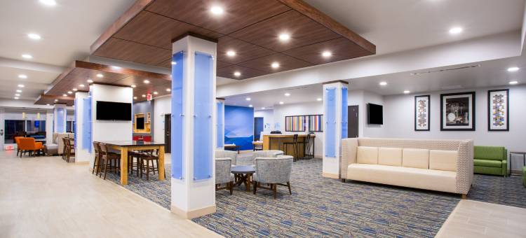 智选假日套房酒店-拉皮德城/拉什莫尔南(Holiday Inn Express & Suites Rapid City - Rushmore South)图片