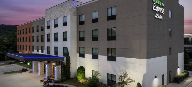 Holiday Inn Express & Suites Birmingham - Homewood图片