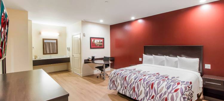 休斯顿威洛布鲁克红顶酒店(Red Roof Inn Houston - Willowbrook)图片