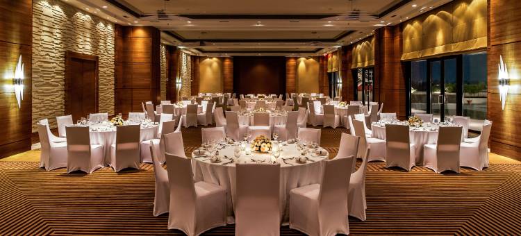 赖布尔Hyatt酒店(Hyatt Raipur)图片