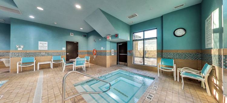 Holiday Inn & Suites 埃德蒙顿国际机场(Holiday Inn & Suites Edmonton Arpt - Conference Ctr)图片