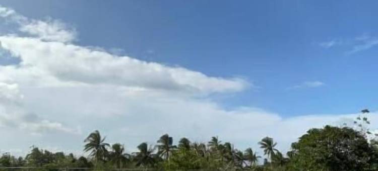 埃尔乔伊森林度假村(Eljoy's Forest Resort)图片