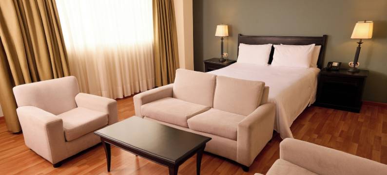 丹恩AV.19酒店(Hotel Dann Av. 19)图片