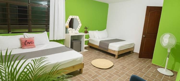 Casa Alixel精品酒店(Casa Alixel Hotel Boutique)图片