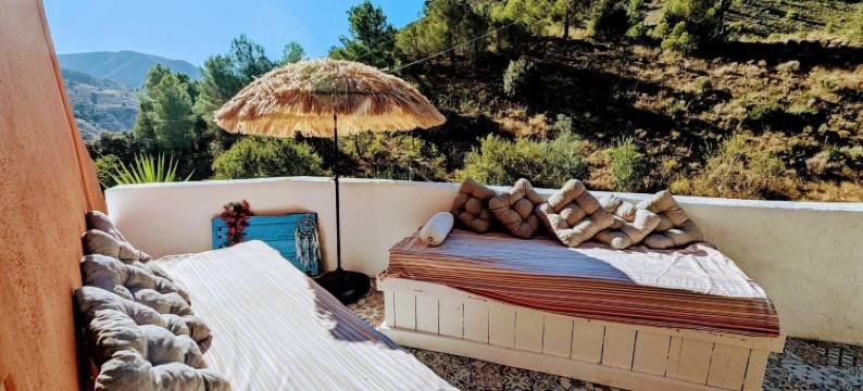 萨托里之家(Casa Satori)图片