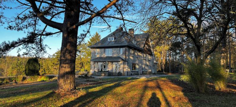 靠近开满鲜花的池塘(Aux étangs fleuris)图片