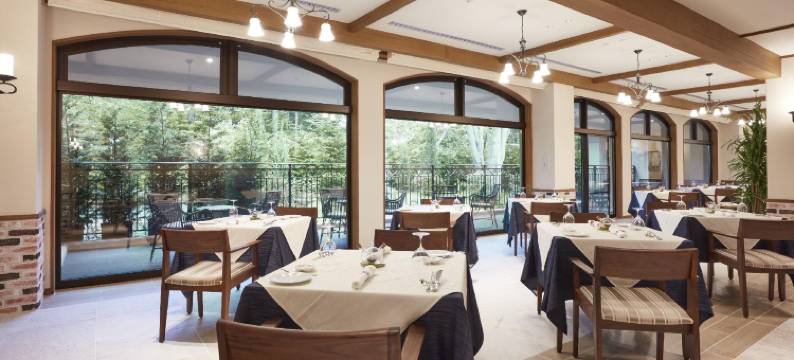 轻井泽奇安九酒店(Le Chien Kyuu Karuizawa)图片