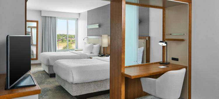 兰伯顿SpringHill Suites 酒店(SpringHill Suites Lumberton)图片