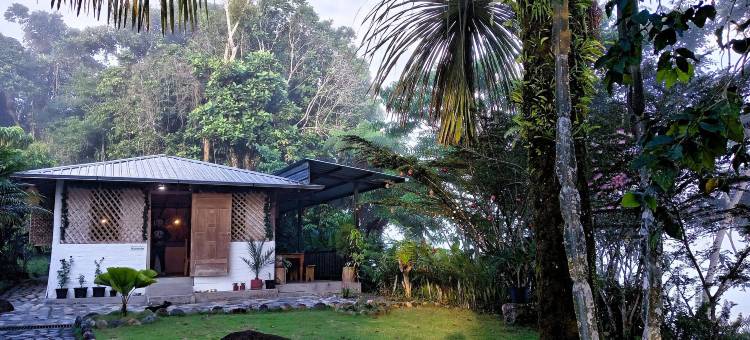 香蕉山林小屋(Banana Lodge)图片