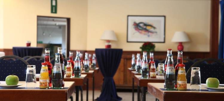 艾玛迪斯城市酒店(Cityhotel Amadeus)图片