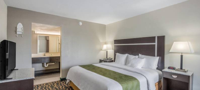 凯艺套房酒店-会议中心(Quality Inn & Suites Conference Center Thomasville)图片