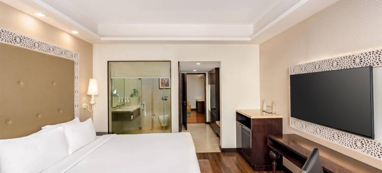 哥打丽怡酒店(Country Inn & Suites by Radisson Kota)图片