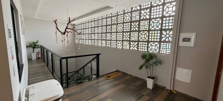 布拉加阁楼(Loft do Braga)图片
