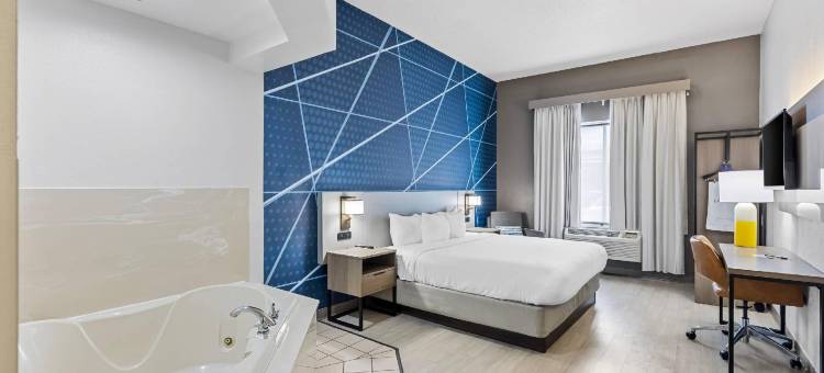 杰克逊堡梅因盖特舒适套房酒店(Comfort Inn & Suites FtJackson Maingate)图片