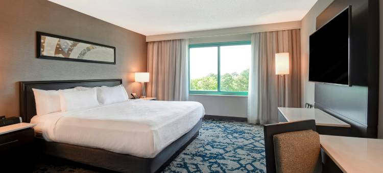 罗利达勒姆三角研究园希尔顿安泊酒店(Embassy Suites by Hilton Raleigh Durham Research Triangle)图片
